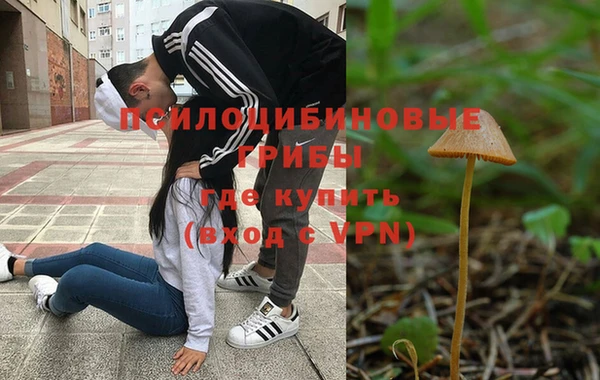 прущие грибы Богородицк