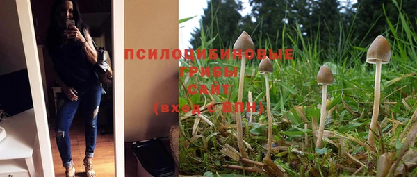 прущие грибы Богородицк