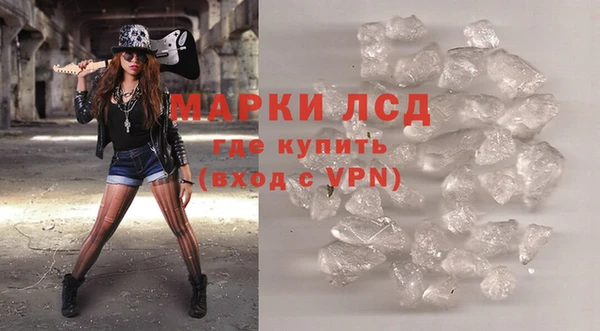 прущие грибы Богородицк