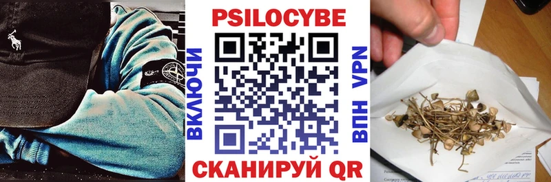 мега онион  Высоковск  Галлюциногенные грибы Psilocybine cubensis 